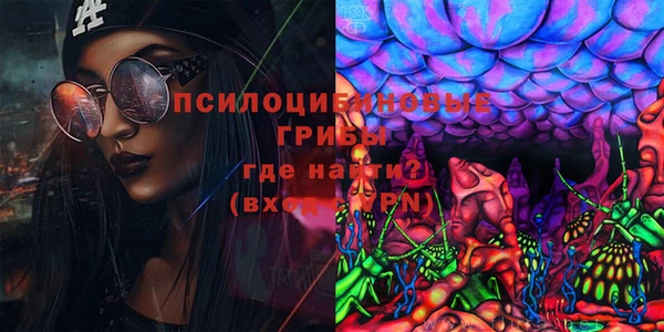 спайс Ельня