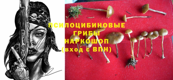 спайс Ельня