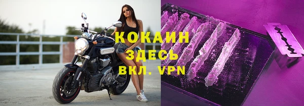 спайс Ельня