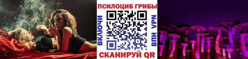 Псилоцибиновые грибы Cubensis  Купить где  Снежинск 